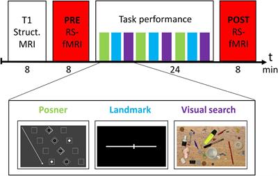 Resting-State Functional Connectivity in the Dorsal Attention Network Relates to Behavioral Performance in Spatial Attention Tasks and May Show Task-Related Adaptation